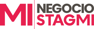 Mi Negocio Stagmi